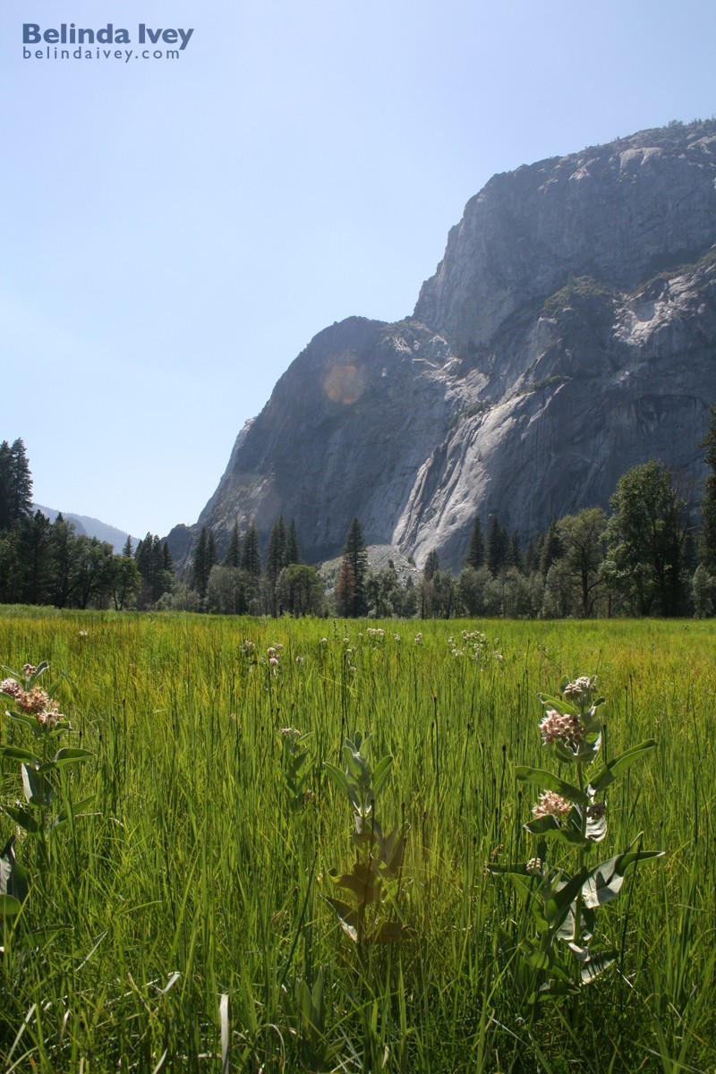 Yosemite Valley